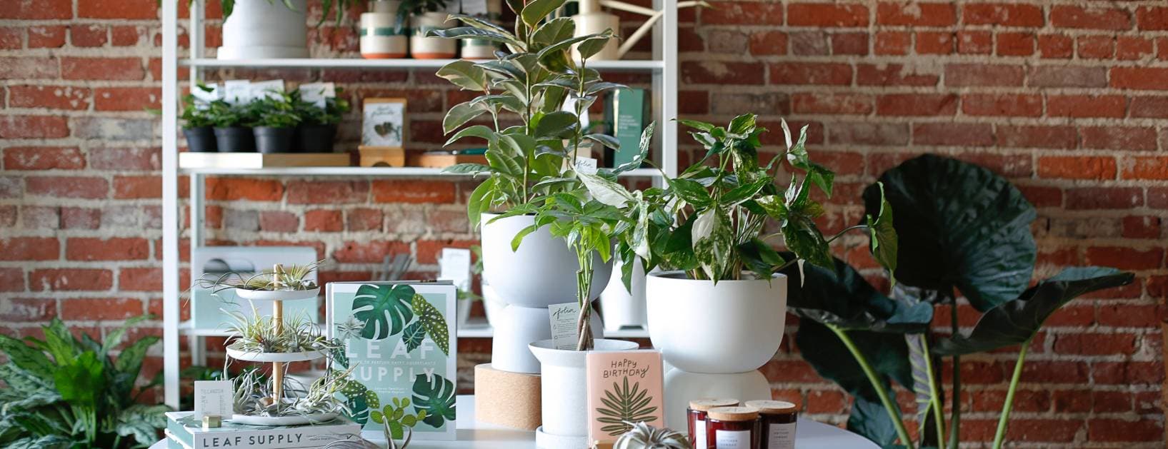Folia Collective